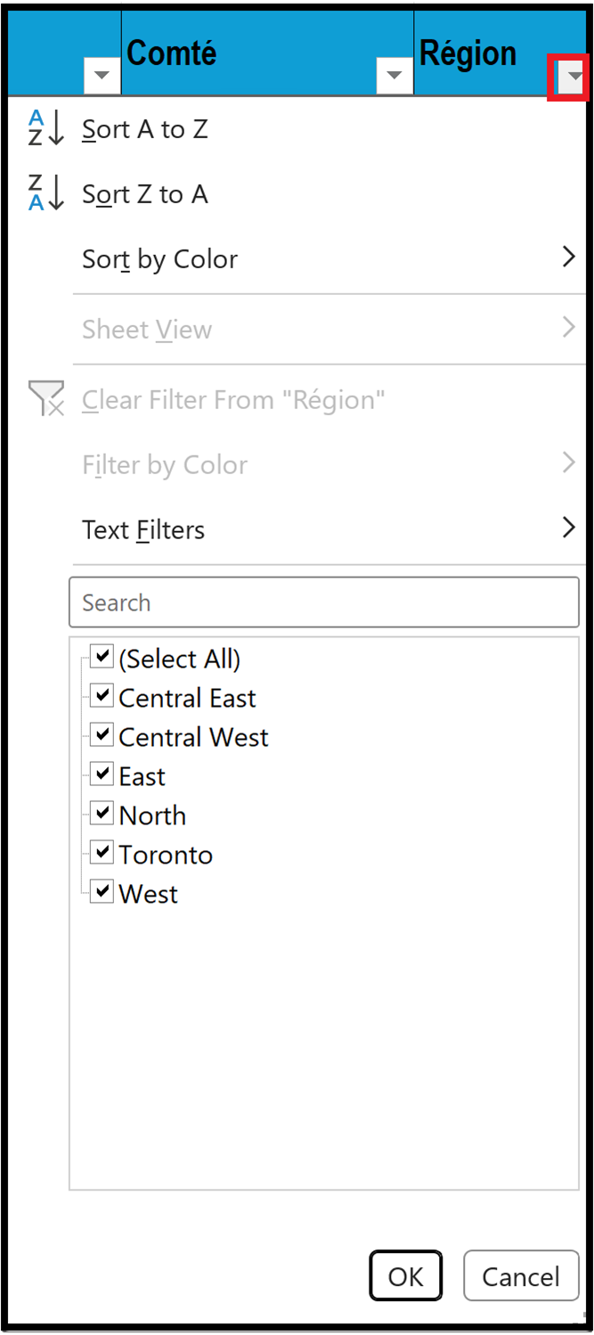 Exemple illustrant le menu déroulant Région dans la feuille de calcul Open Data FY2024-25.