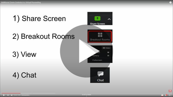 Additional Zoom Controls in Virtual Proceeding on YouTube