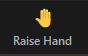 Screenshot of the Raise Hand icon.