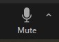 This is an image of the mute icon.