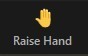 This is an image of the raise hand icon.