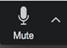 Image of the Mute icon.