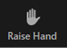 Image of the Raise Hand icon.