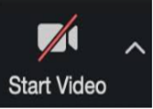 Image of the Video icon with a red line through it.