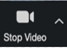 Image of the Video icon.