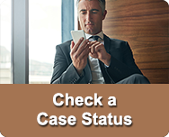 Check a Case Status button